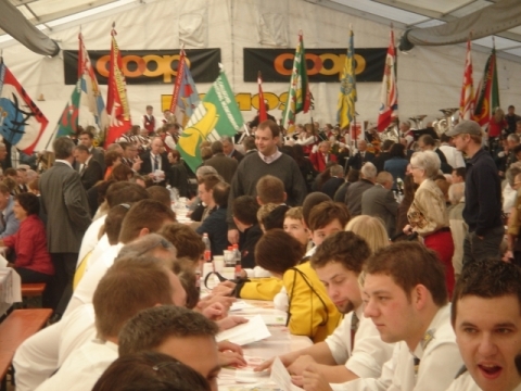 bild_35