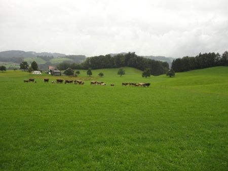 bild_40