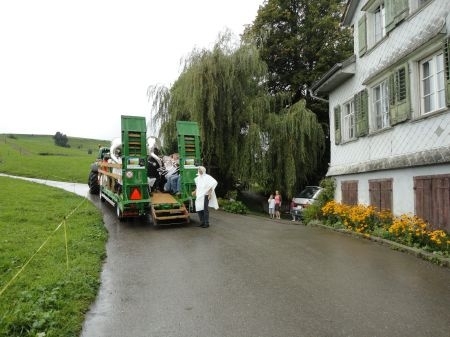 bild_41